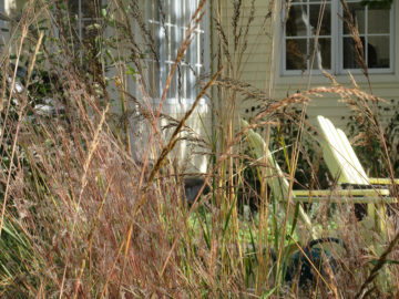 Native grasses and outdoor seating area