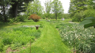 Restoration work at historic gardens