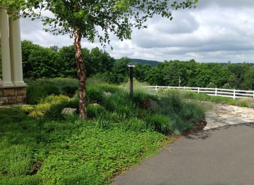 Lush perennials overlooking the Hudson Valley